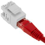 Keystone RJ45 hembra TB110 Cat. 5e UTP pack de 6 unidades - RC11000 - 03