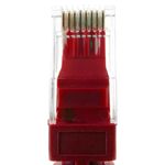 Cable de red ethernet LAN UTP RJ45 Cat.6a rojo 25 cm - LJ00100 - 03